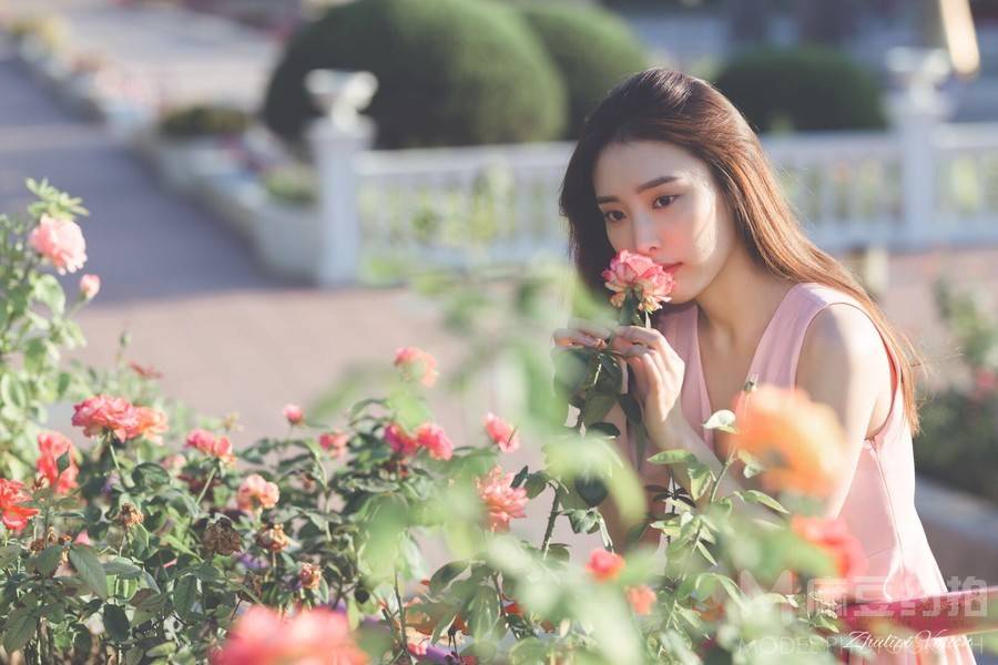 清新模特
