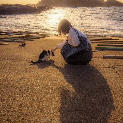 日系模特