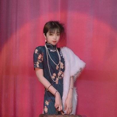 胶片模特