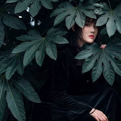 时尚模特