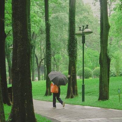 纪实模特