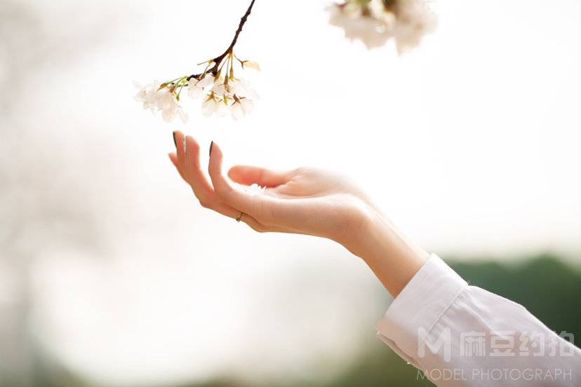 旗袍模特