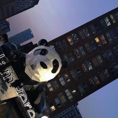 纪实模特