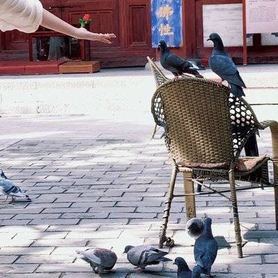 民国模特