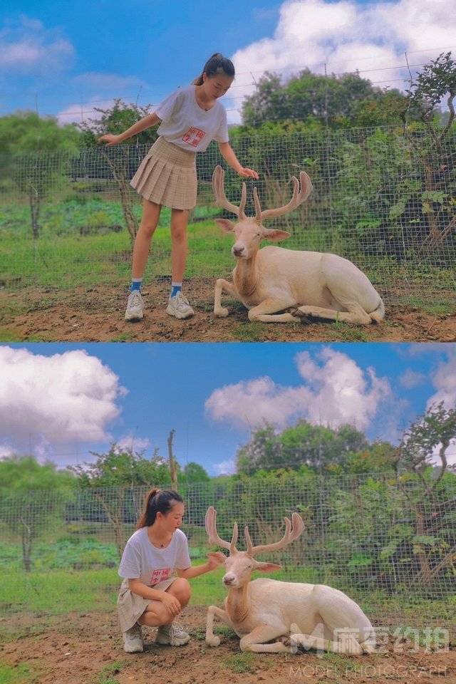 日系模特
