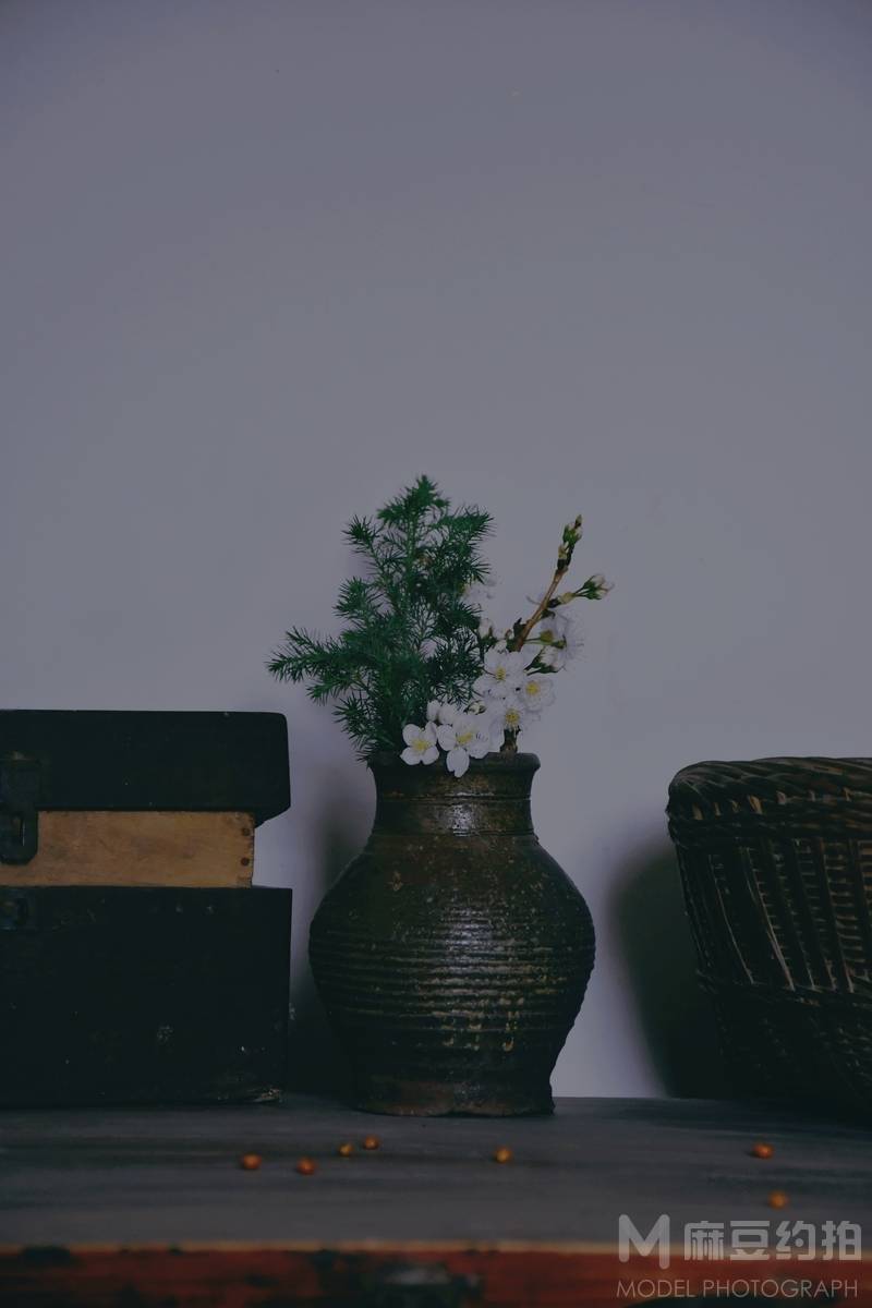 纪实模特