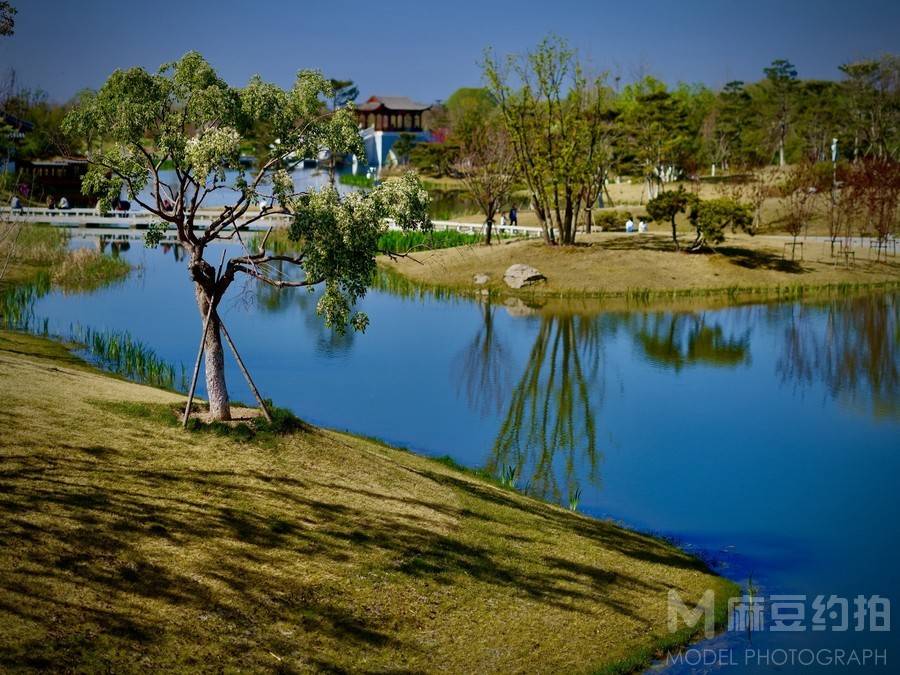 黑白模特