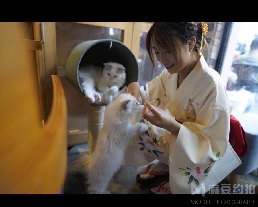 古风模特