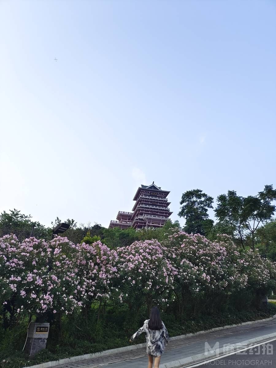 情侣模特