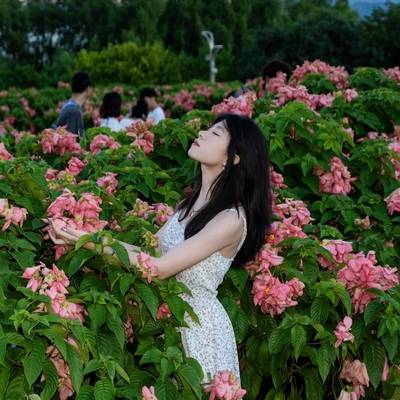 清新模特
