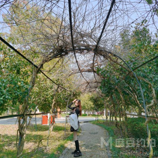 校园模特
