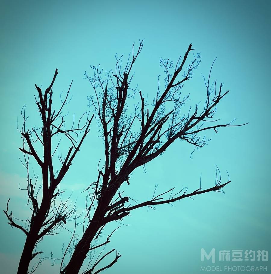 胶片模特
