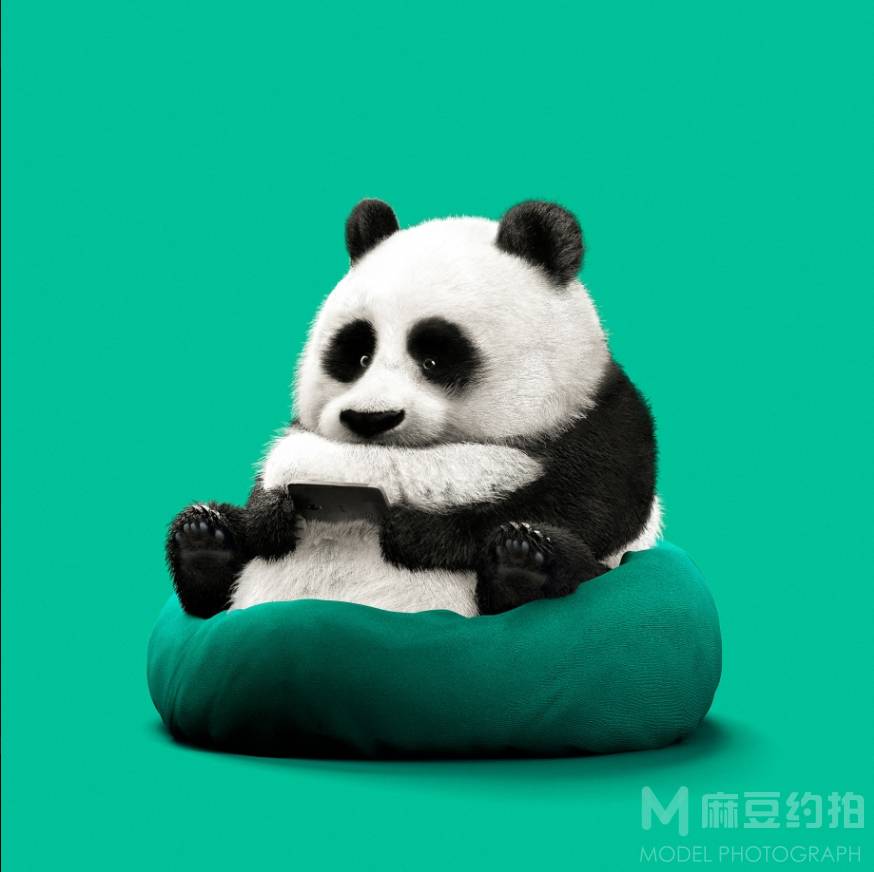 黑白模特