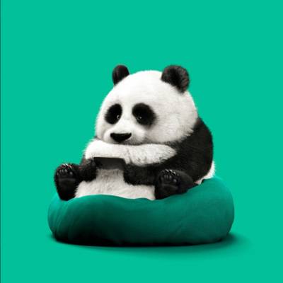 黑白模特