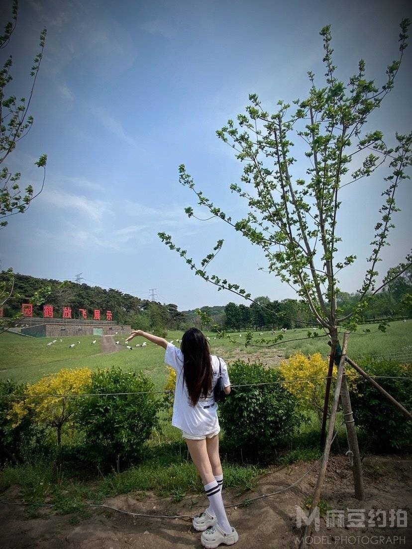 和服模特