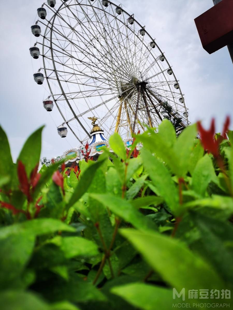 纪实模特
