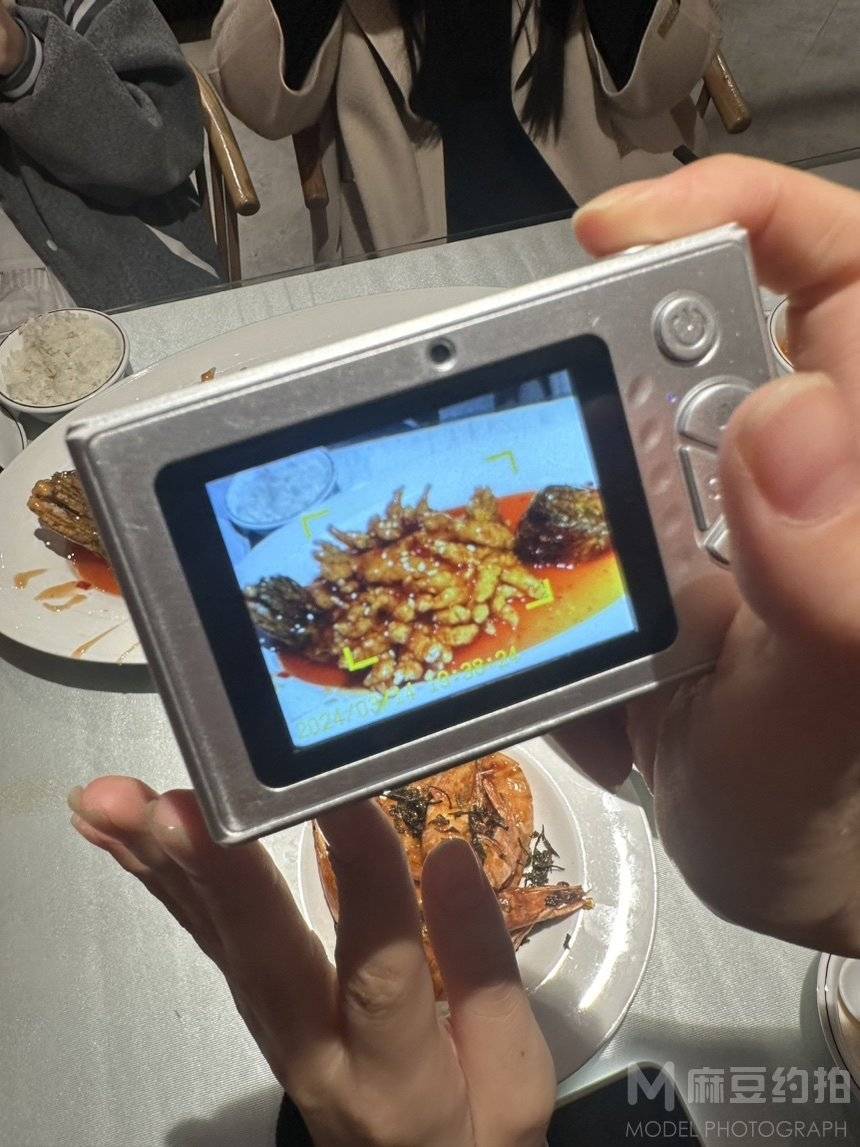 胶片模特