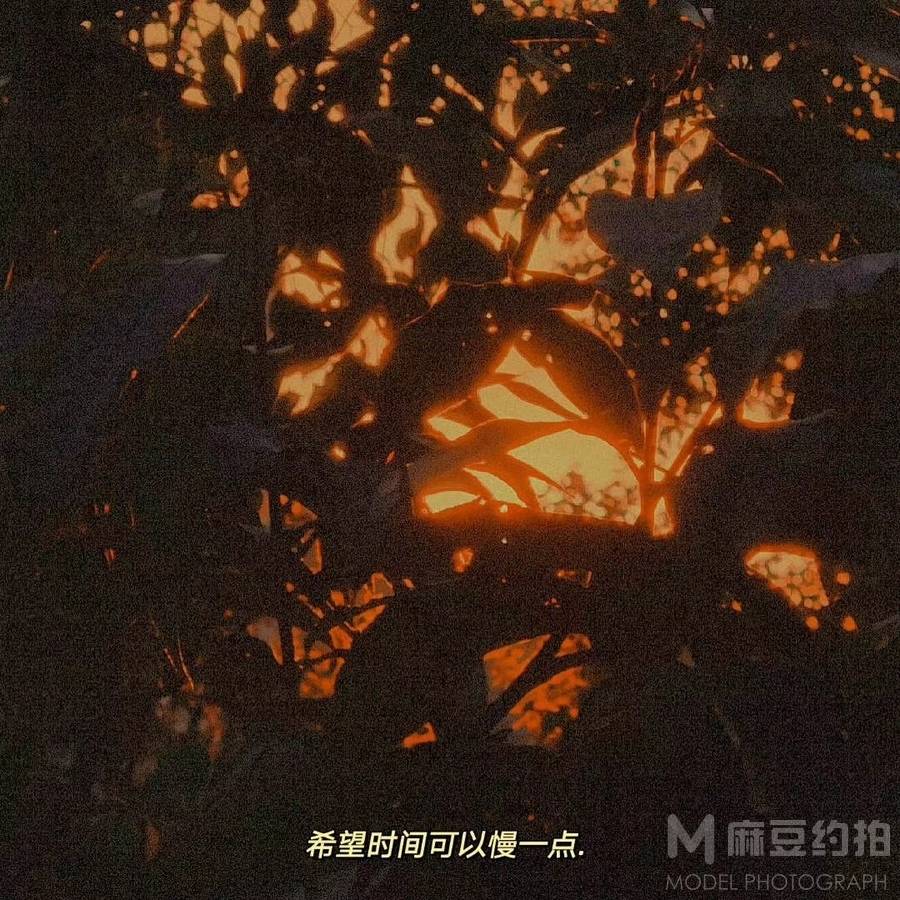 纪实模特