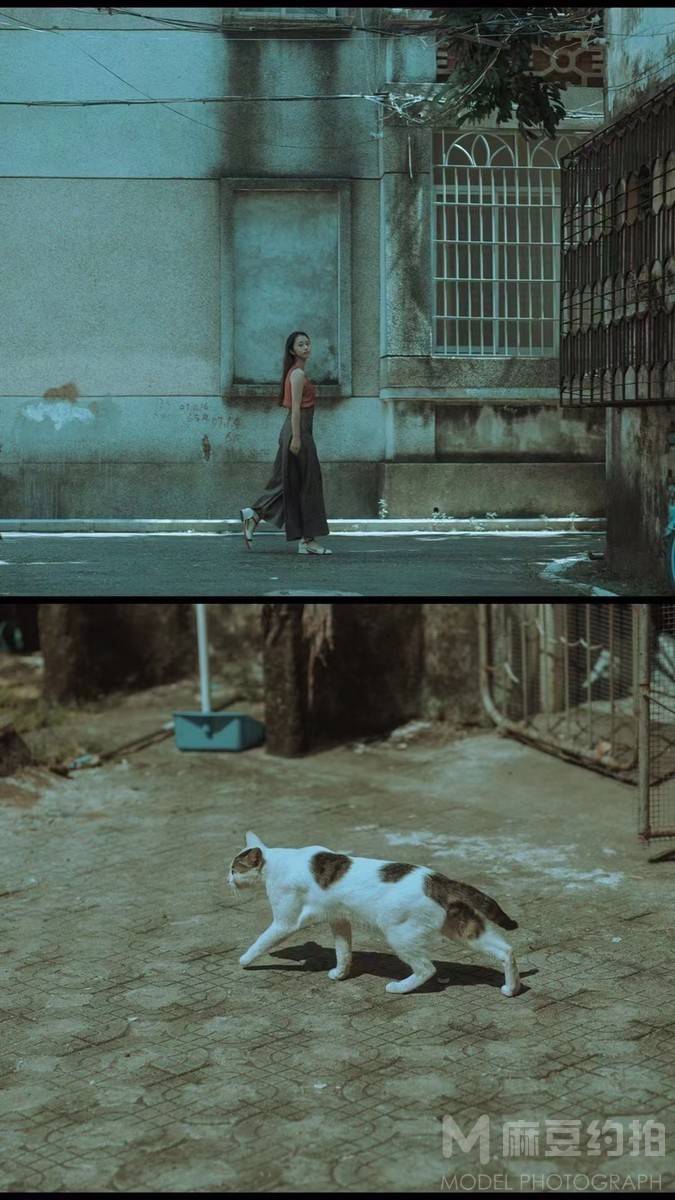 时尚模特