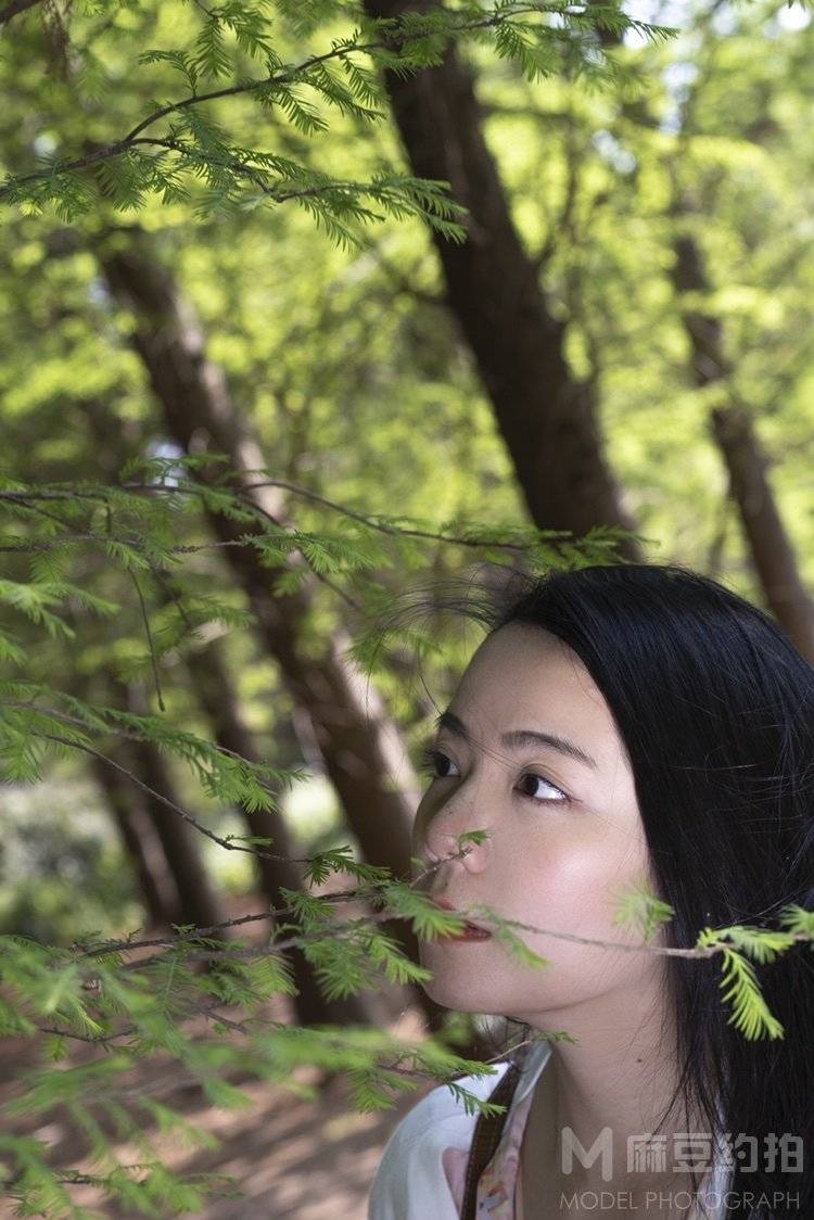 清新模特