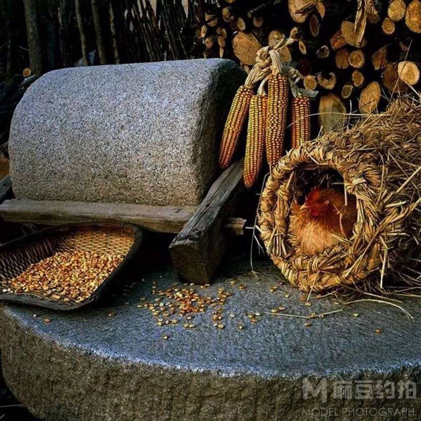 纪实模特