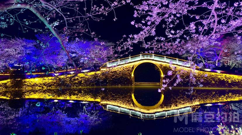 夜景模特