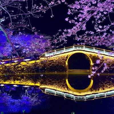 夜景模特