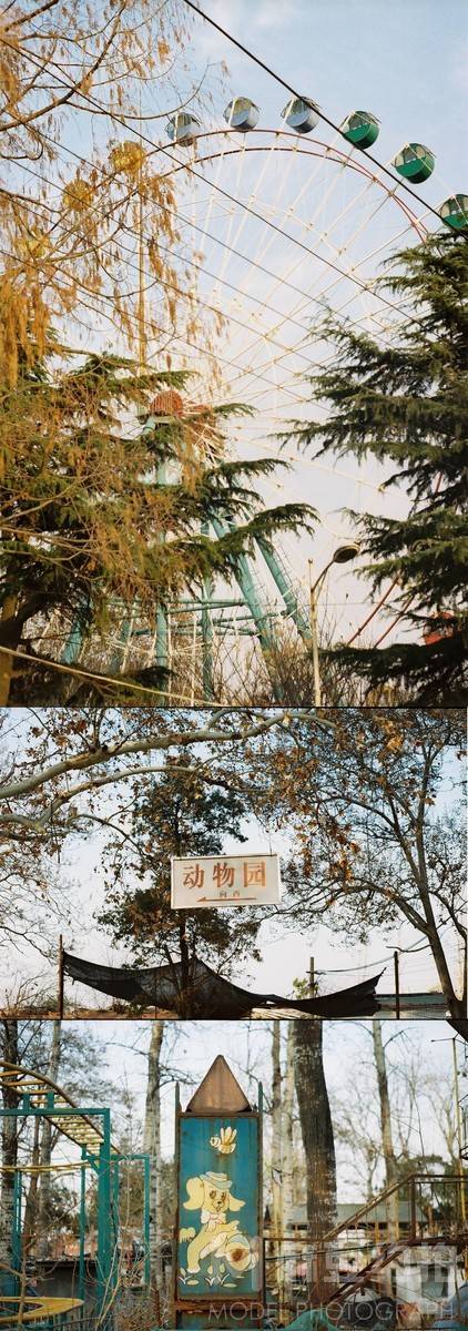 胶片模特