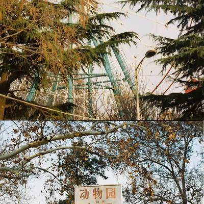胶片模特