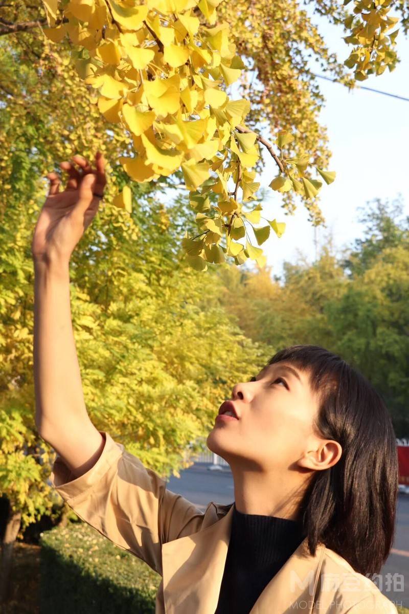 商务模特