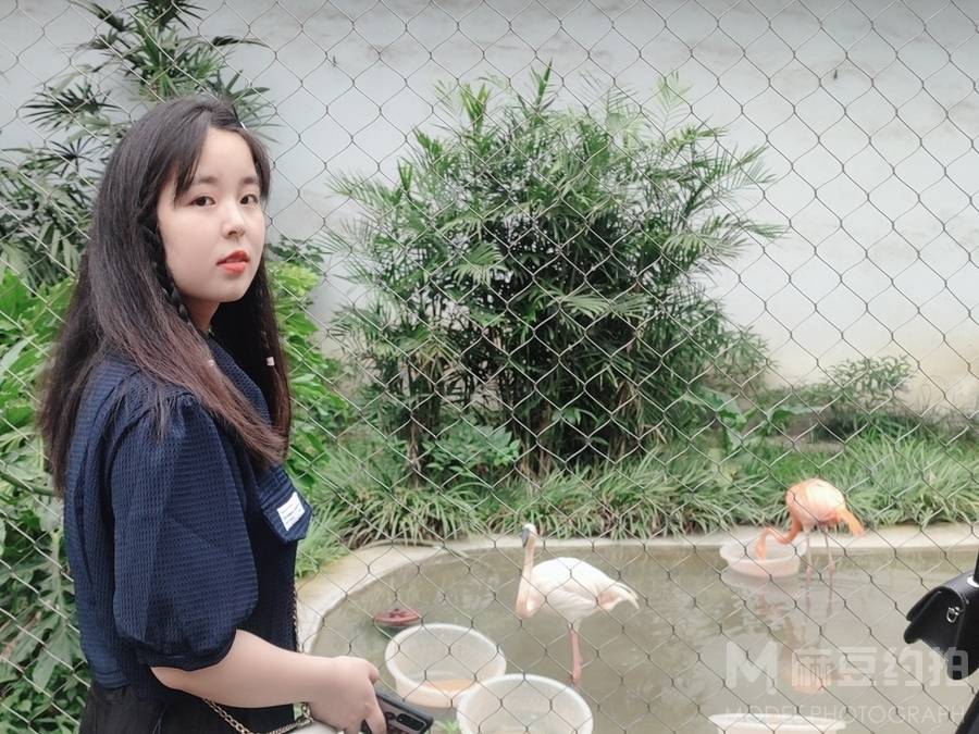 清新模特