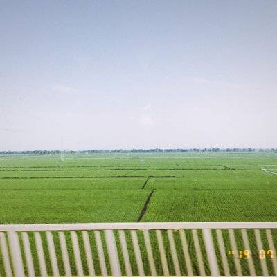 孕照模特