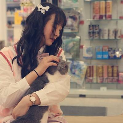清新模特