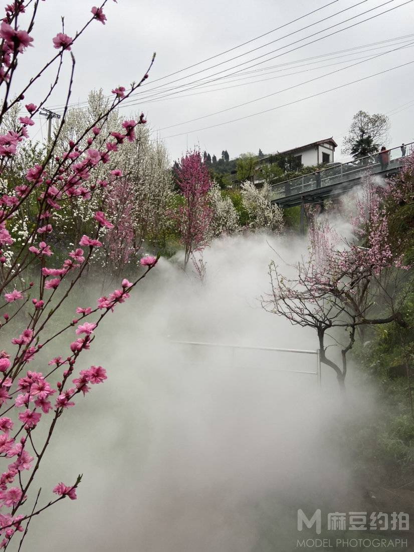 纪实模特