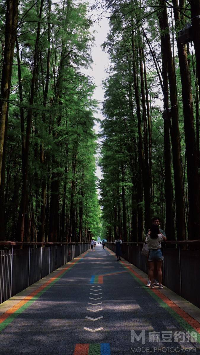 情侣模特