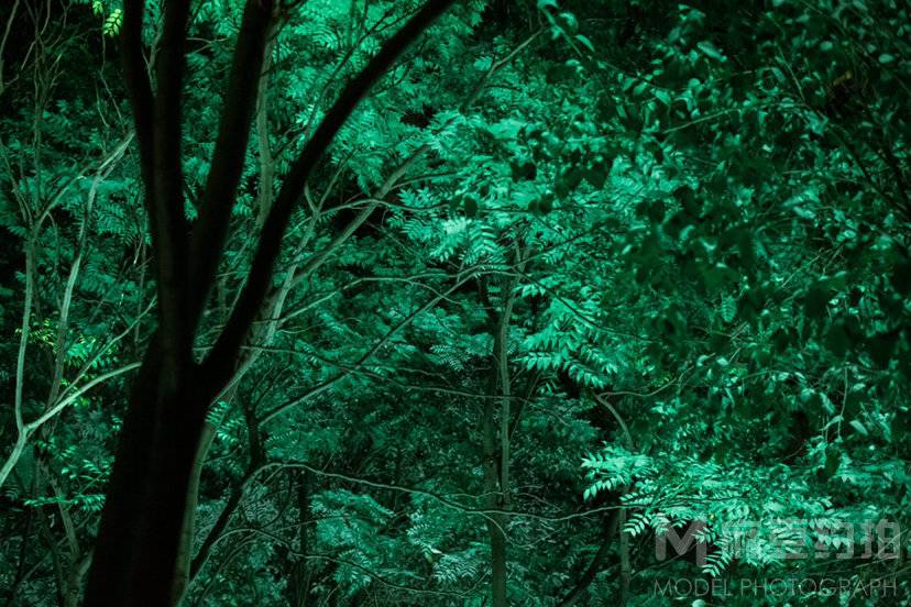 夜景模特