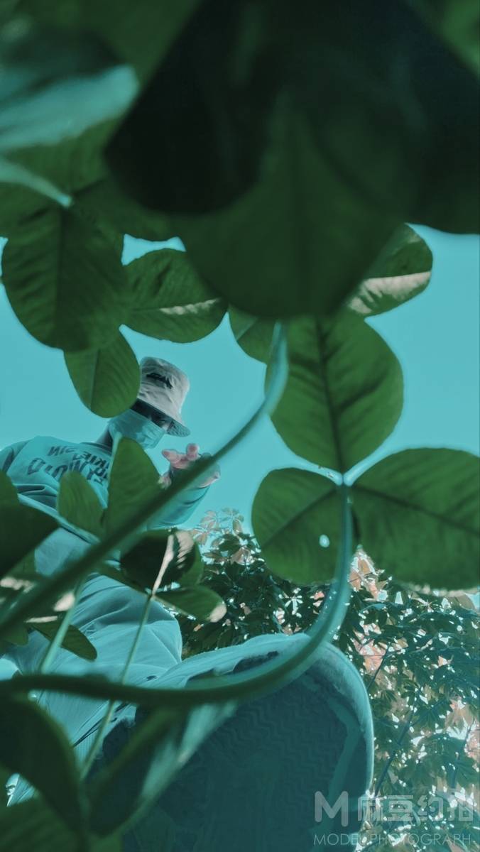清新模特