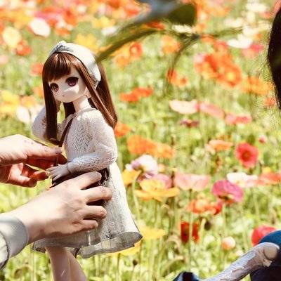 清新模特