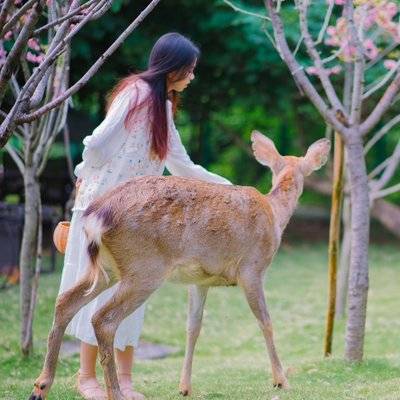 森系模特