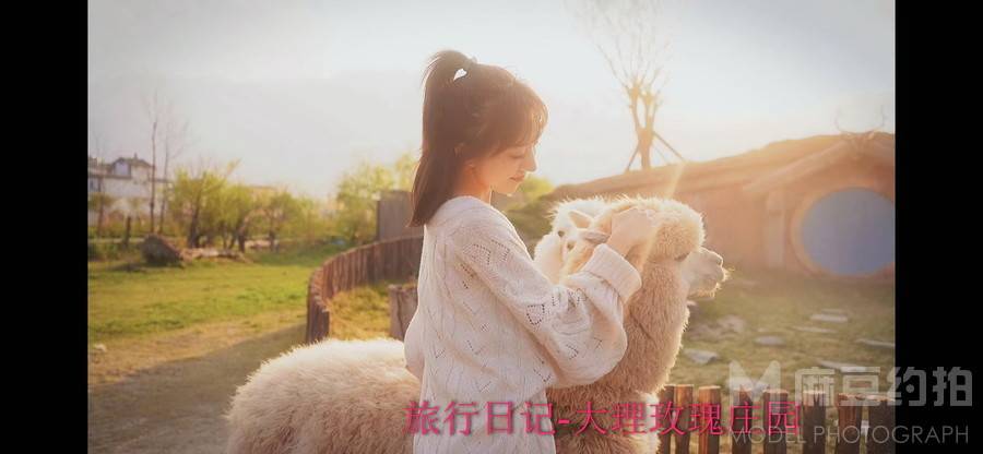 胶片模特