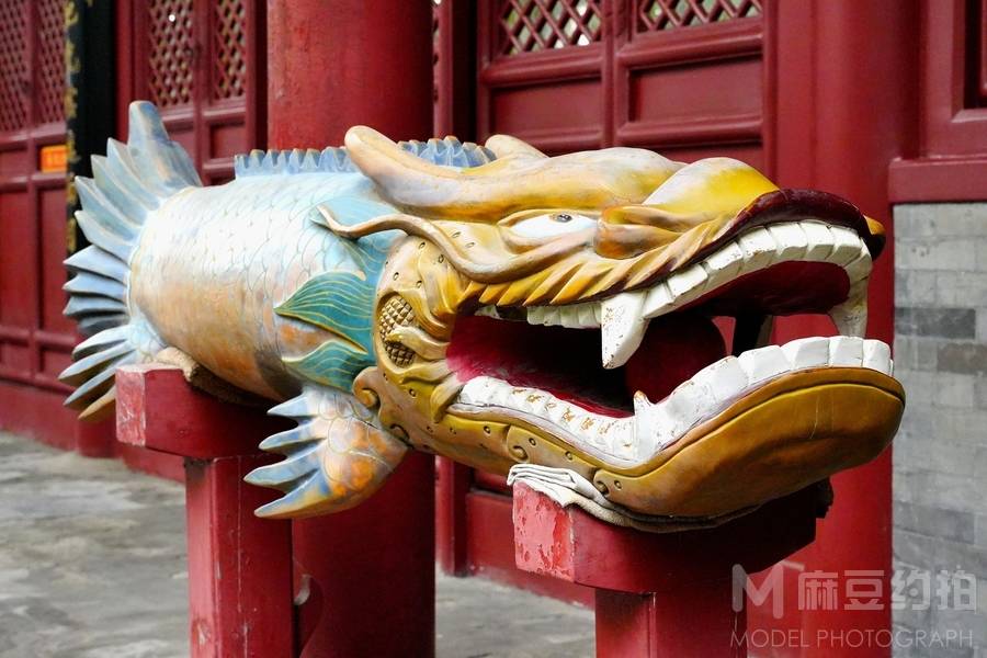 纪实模特