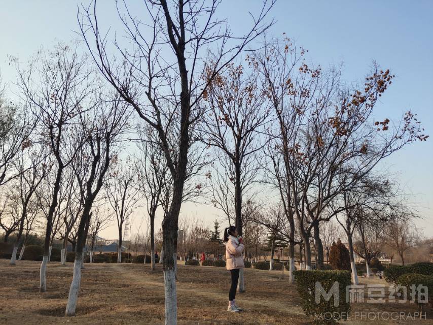 校园模特