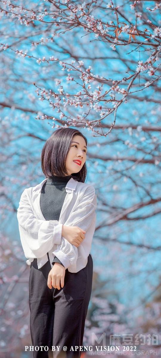 清新模特