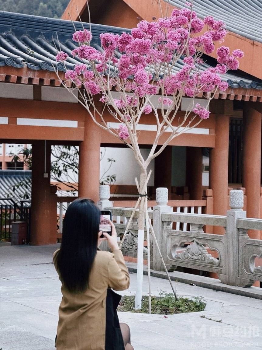 复古模特