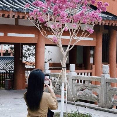 复古模特