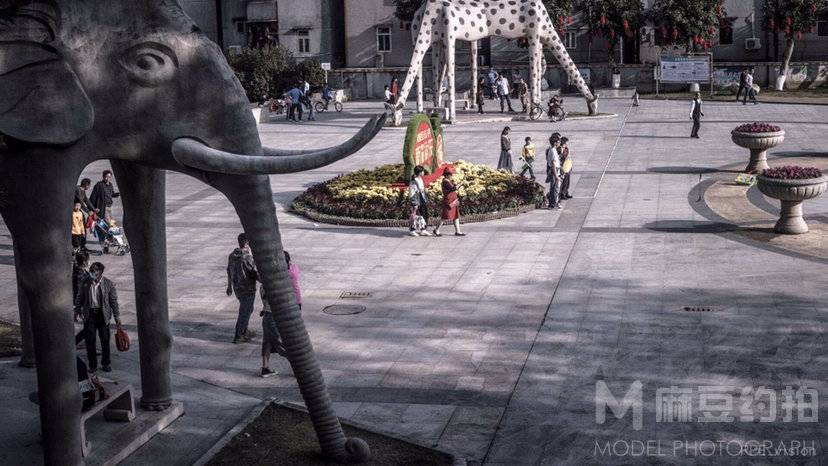 纪实模特