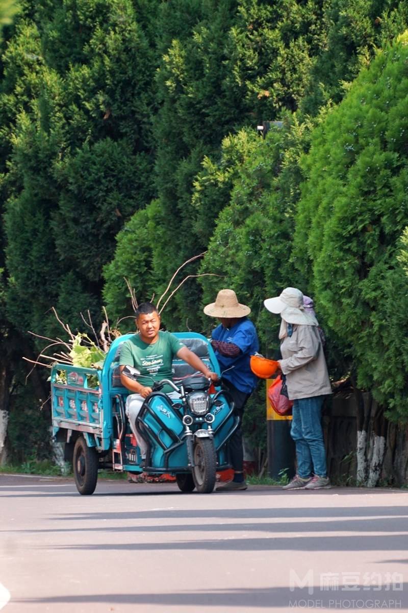 胶片模特
