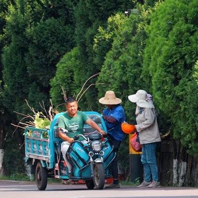胶片模特
