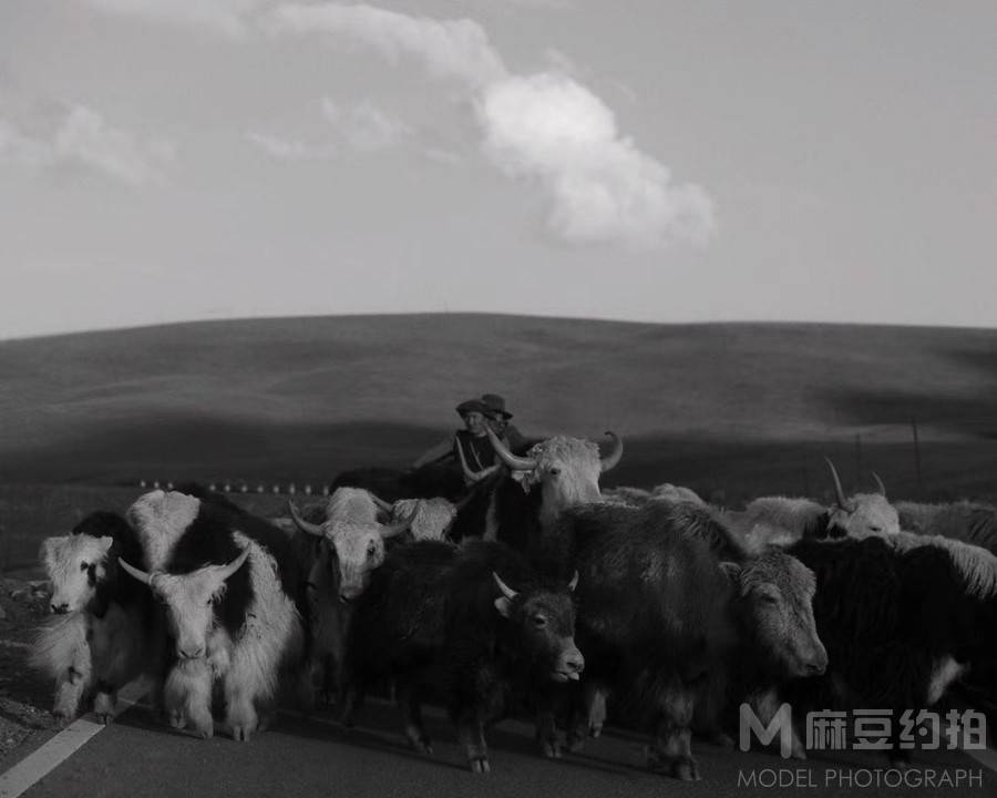 黑白模特