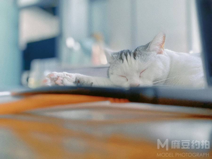 复古模特